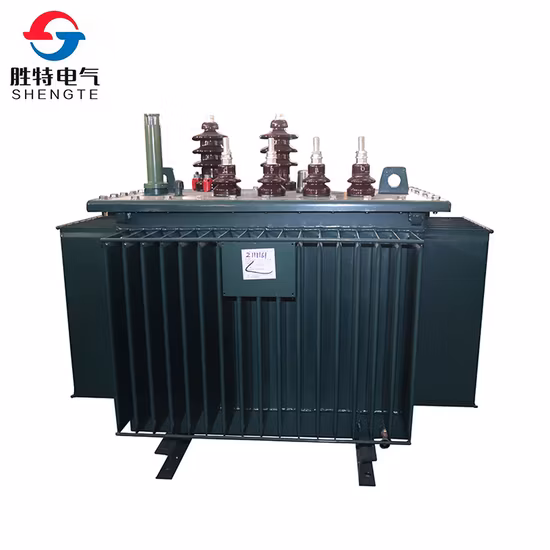 100 120 125 150 160 167 170 200 220 250kVA 10kV 0.4kV 三相油入配電変圧器工場